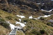 by kiwiaoraki, Views[86]