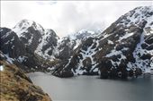 by kiwiaoraki, Views[58]