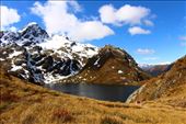 by kiwiaoraki, Views[109]