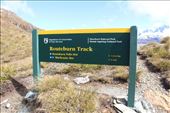 by kiwiaoraki, Views[57]
