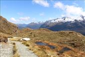 by kiwiaoraki, Views[110]
