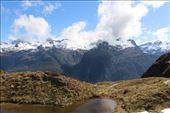 by kiwiaoraki, Views[66]
