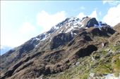 by kiwiaoraki, Views[76]