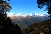 by kiwiaoraki, Views[98]