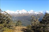 by kiwiaoraki, Views[105]