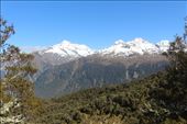 by kiwiaoraki, Views[87]