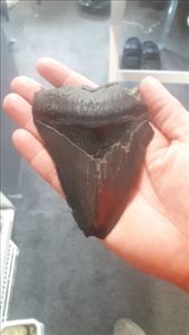 by kiwiaoraki, Views[73]