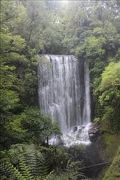 by kiwiaoraki, Views[277]