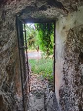 by kiwiaoraki, Views[177]