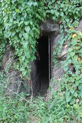 by kiwiaoraki, Views[76]