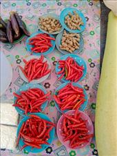 by kiwiaoraki, Views[159]