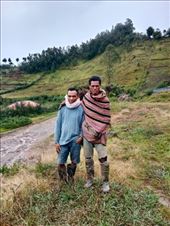 by kiwiaoraki, Views[94]