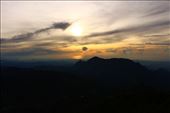 by kiwiaoraki, Views[240]