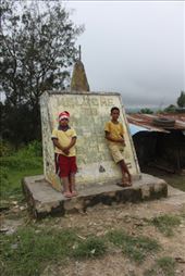 by kiwiaoraki, Views[193]