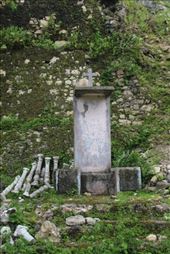 by kiwiaoraki, Views[158]