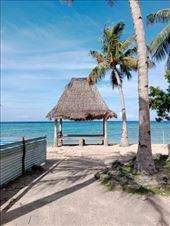 by kiwiaoraki, Views[181]