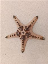 by kiwiaoraki, Views[156]