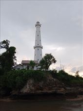 by kiwiaoraki, Views[69]