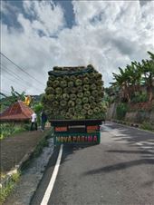 by kiwiaoraki, Views[168]