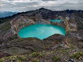by kiwiaoraki, Views[190]