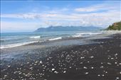 by kiwiaoraki, Views[90]