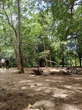 by kiwiaoraki, Views[68]