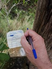 by kiwiaoraki, Views[83]