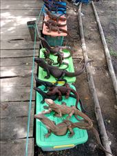 by kiwiaoraki, Views[80]