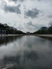 by kiwiaoraki, Views[57]