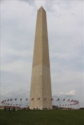 by kiwiaoraki, Views[68]