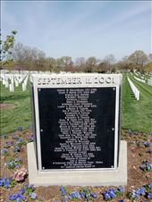 by kiwiaoraki, Views[192]