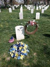 by kiwiaoraki, Views[209]