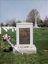 by kiwiaoraki, Views[185]