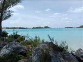 by kiwiaoraki, Views[73]