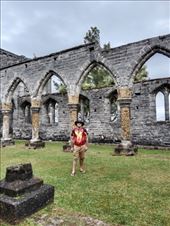 by kiwiaoraki, Views[65]