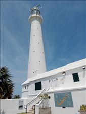 by kiwiaoraki, Views[64]