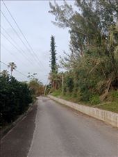 by kiwiaoraki, Views[51]