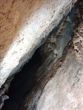 by kiwiaoraki, Views[57]