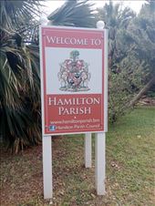 by kiwiaoraki, Views[94]