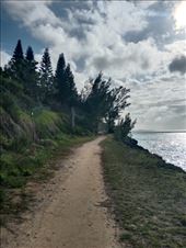 by kiwiaoraki, Views[58]