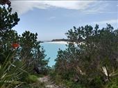 by kiwiaoraki, Views[61]