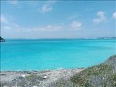 by kiwiaoraki, Views[85]