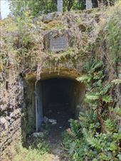 by kiwiaoraki, Views[49]