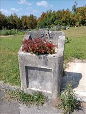 by kiwiaoraki, Views[60]