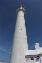 by kiwiaoraki, Views[181]