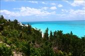 by kiwiaoraki, Views[97]