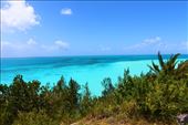 by kiwiaoraki, Views[42]
