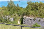 by kiwiaoraki, Views[89]