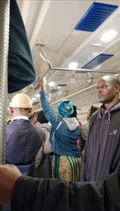 by kiwiaoraki, Views[73]