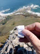 by kiwiaoraki, Views[63]